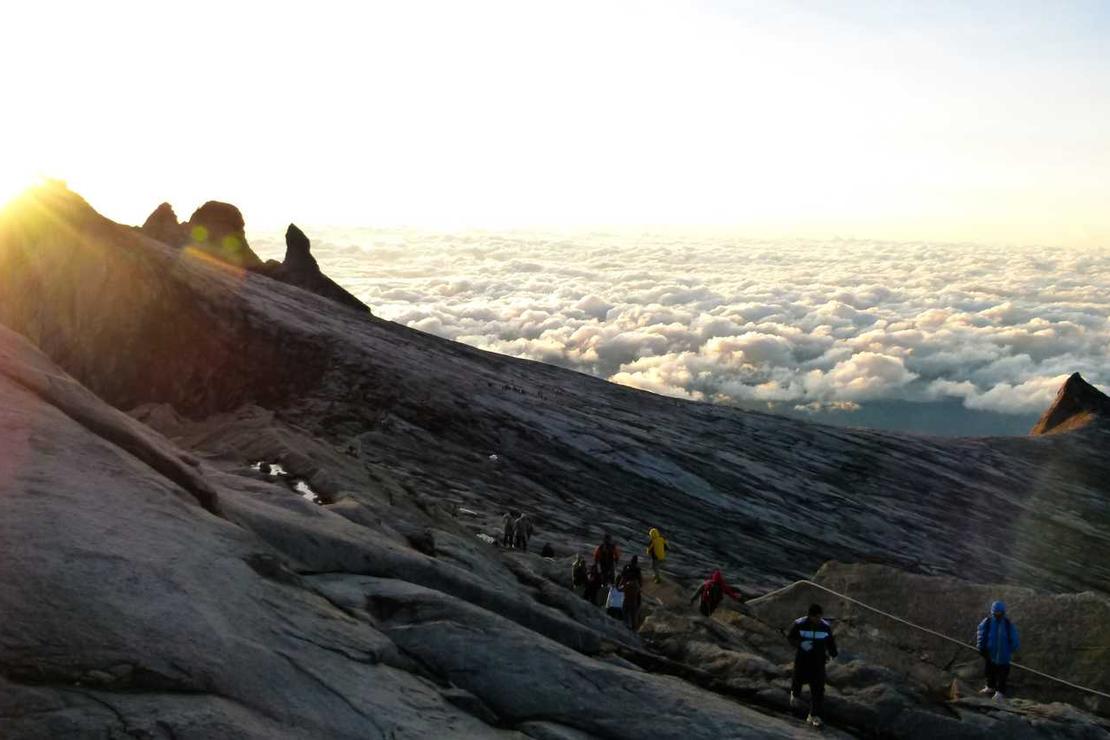 Quo modi consectetur animi necessitatibus